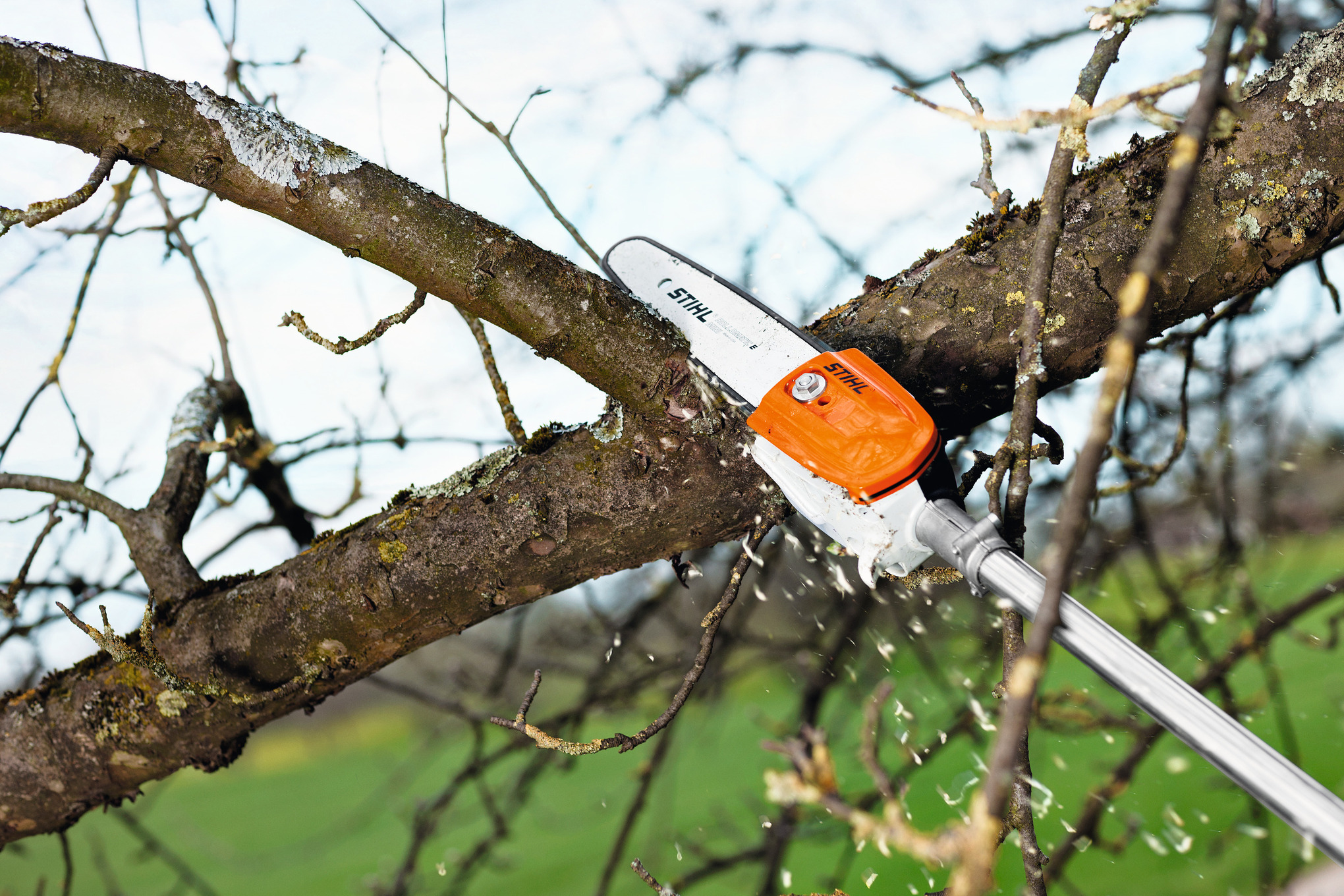 Podadora de altura STIHL HT 56 C-E - Alkiolid