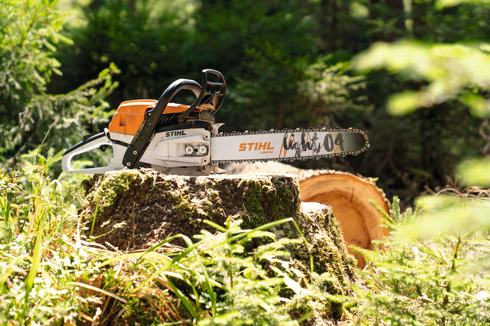 Una motosierra de gasolina STIHL MS 261 C-M sobre un tocón en el bosque