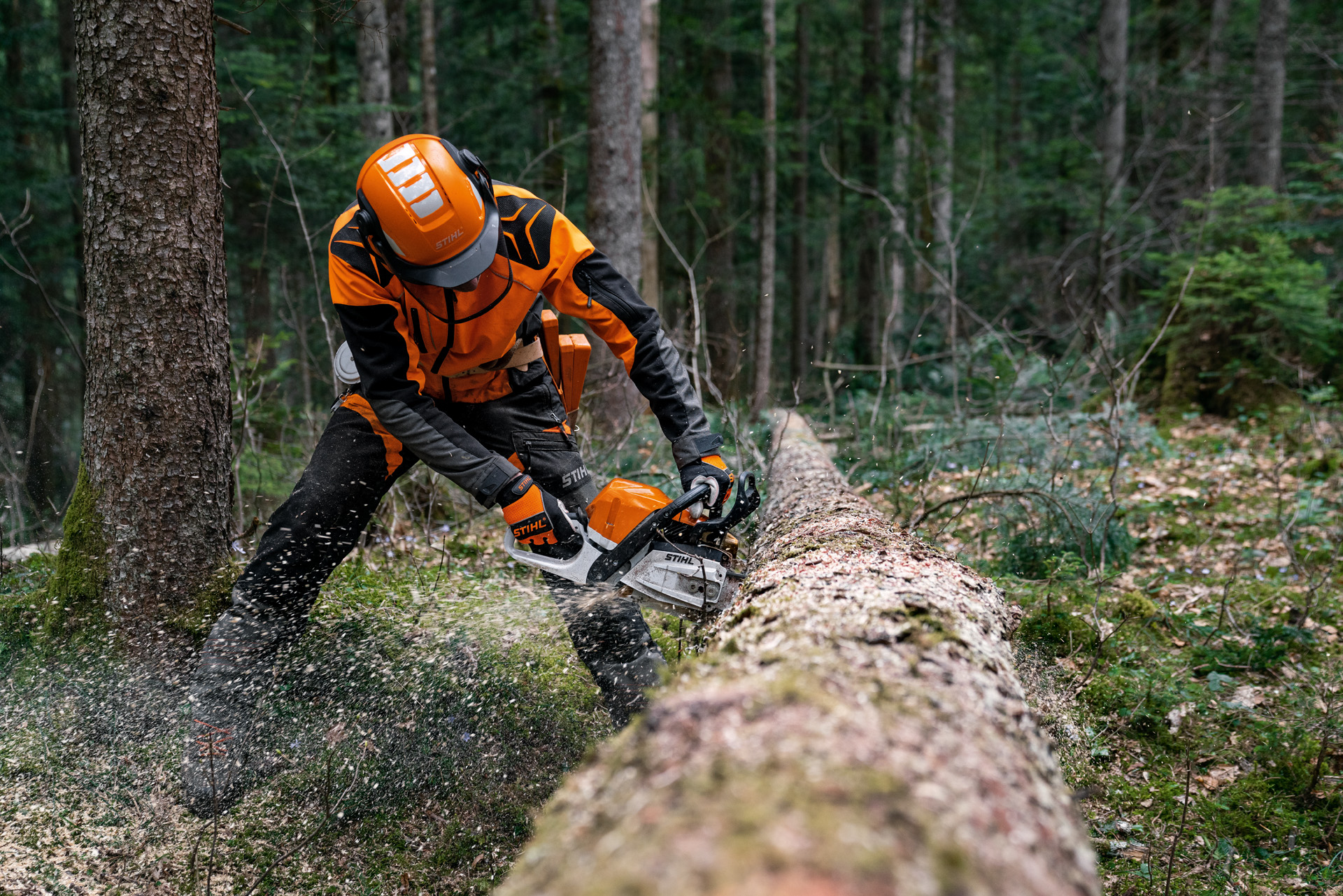 Un hombre cortando un tronco de un árbol caído con una motosierra STIHL MS 400 C-M a gasolina con pistón de magnesio.